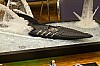 P1160761.JPG