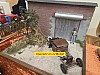 20250920_114837.jpg